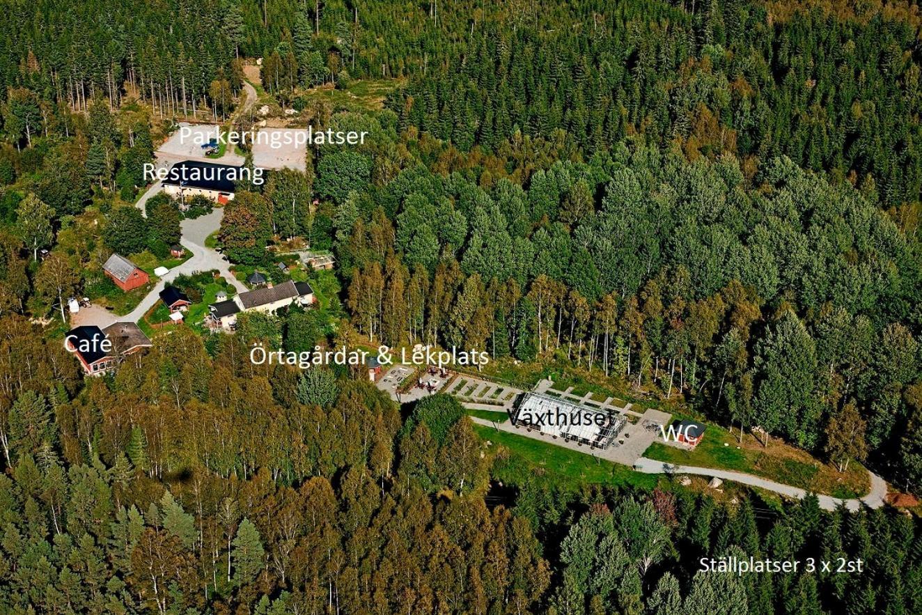 Timjan Forest Resort Nydala Exterior foto